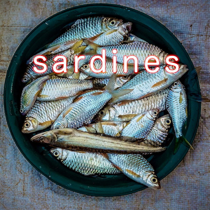 Overhead shot of sardines placed on a dark green plate
